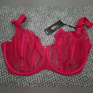 Scantilly's Authority Balcony Bra Hot Pink (34HH UK; 34L US)